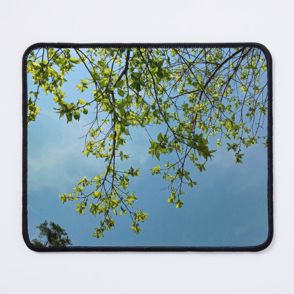 Item preview, Branches Against a Clear Blue Sky designed and sold by Domenica-Rosa.