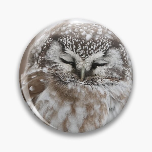 Item preview, Sleepy Boreal Owl designed and sold by locustgirl.