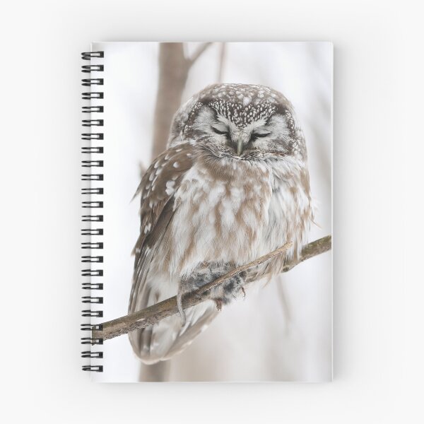 Item preview, Sleepy Boreal Owl designed and sold by locustgirl.