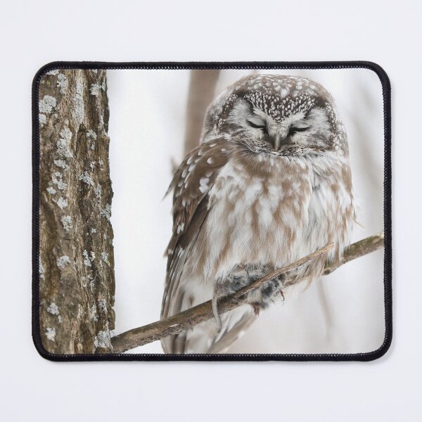 Item preview, Sleepy Boreal Owl designed and sold by locustgirl.