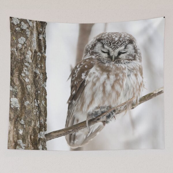 Item preview, Sleepy Boreal Owl designed and sold by locustgirl.