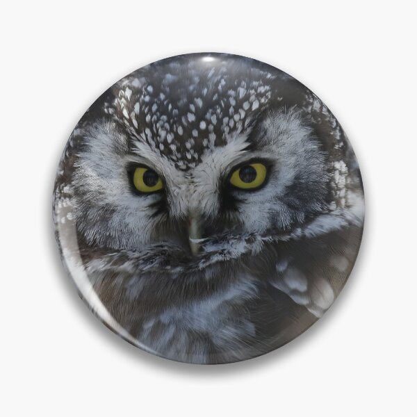 Item preview, Boreal owl with prey designed and sold by locustgirl.