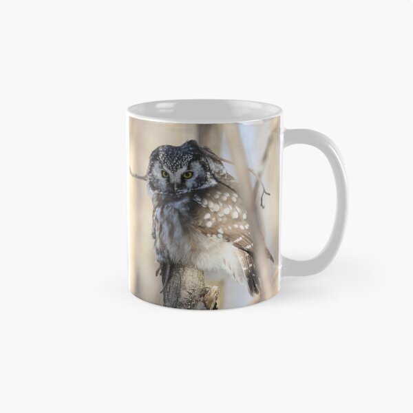 Item preview, Boreal owl with prey designed and sold by locustgirl.