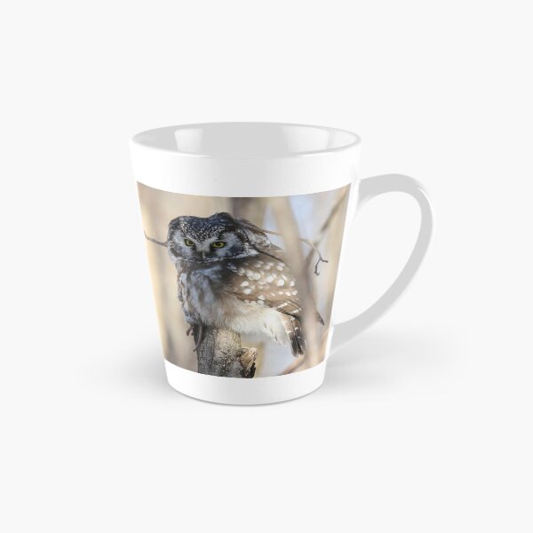 Item preview, Boreal owl with prey designed and sold by locustgirl.