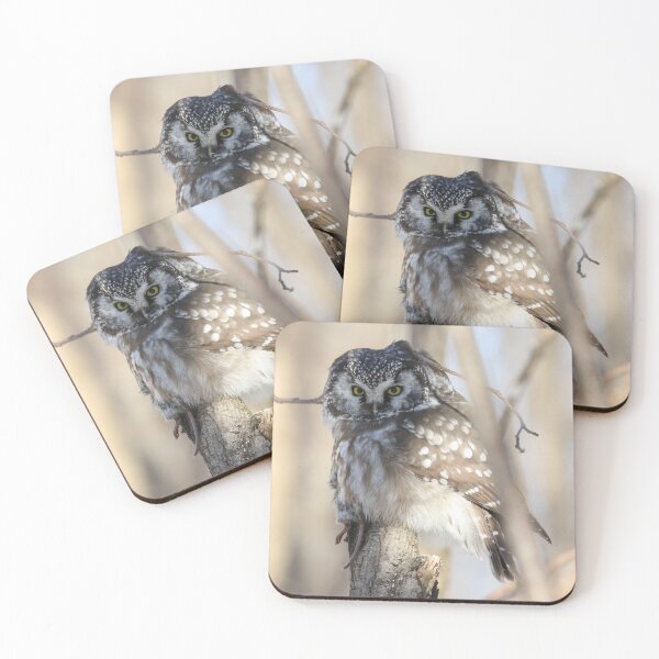Item preview, Boreal owl with prey designed and sold by locustgirl.