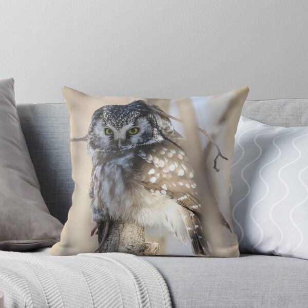 Item preview, Boreal owl with prey designed and sold by locustgirl.