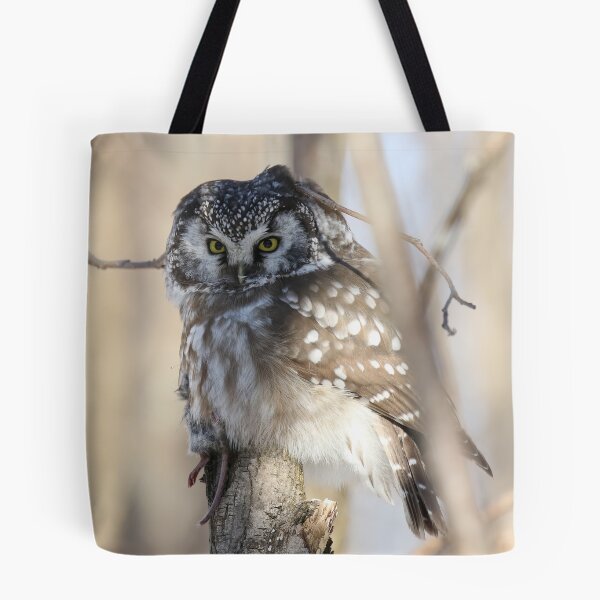 Item preview, Boreal owl with prey designed and sold by locustgirl.