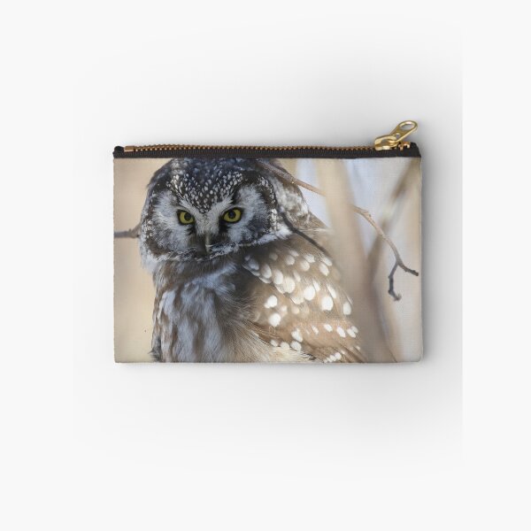 Item preview, Boreal owl with prey designed and sold by locustgirl.