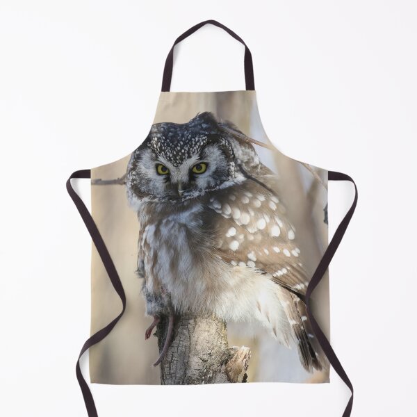 Item preview, Boreal owl with prey designed and sold by locustgirl.
