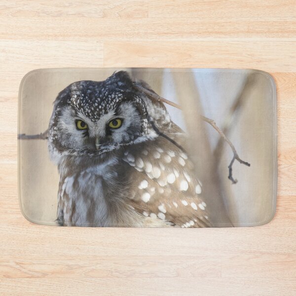 Item preview, Boreal owl with prey designed and sold by locustgirl.