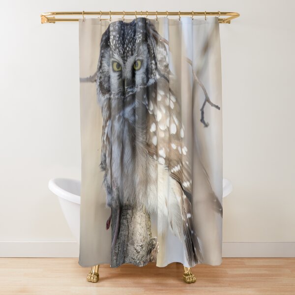 Item preview, Boreal owl with prey designed and sold by locustgirl.
