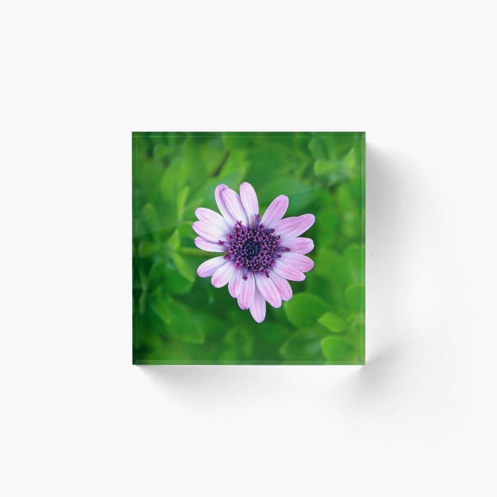 Item preview, Acrylic Block designed and sold by heatherfriedman.