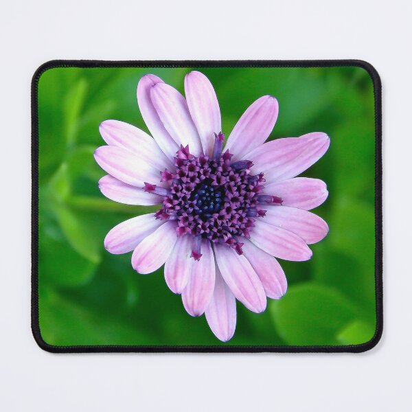 Item preview, Purple Magic designed and sold by heatherfriedman.