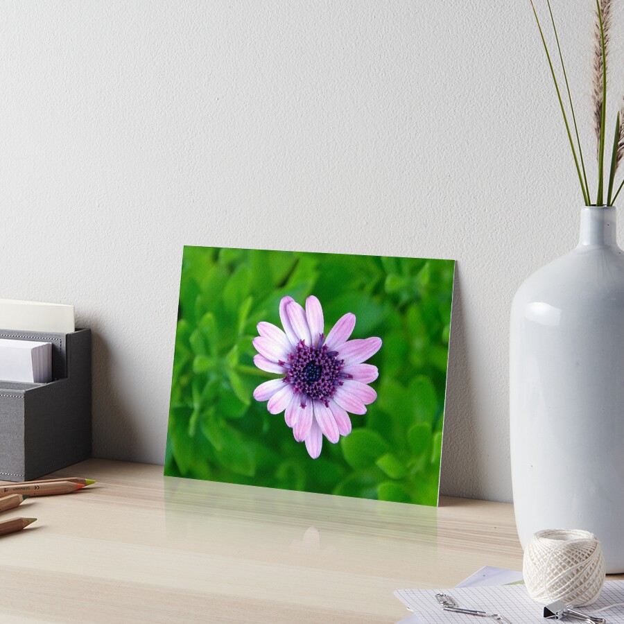 Item preview, Art Board Print designed and sold by heatherfriedman.
