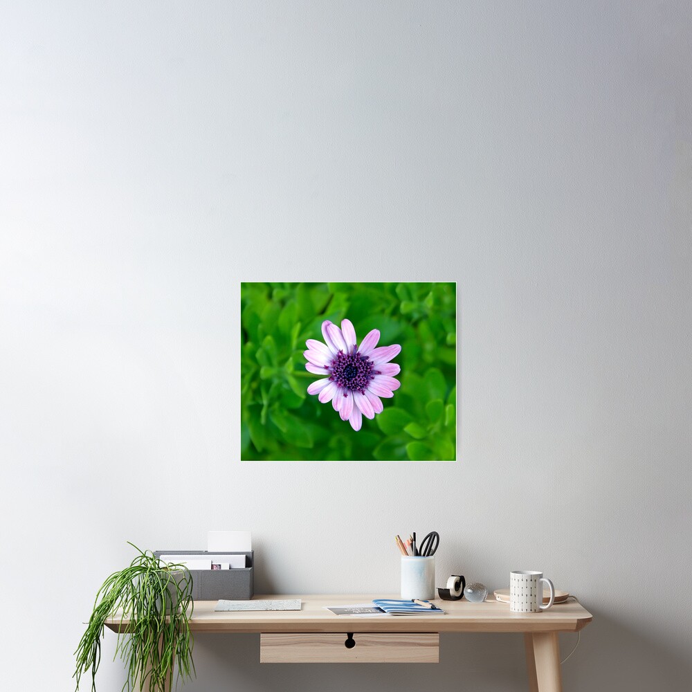 Item preview, Poster designed and sold by heatherfriedman.