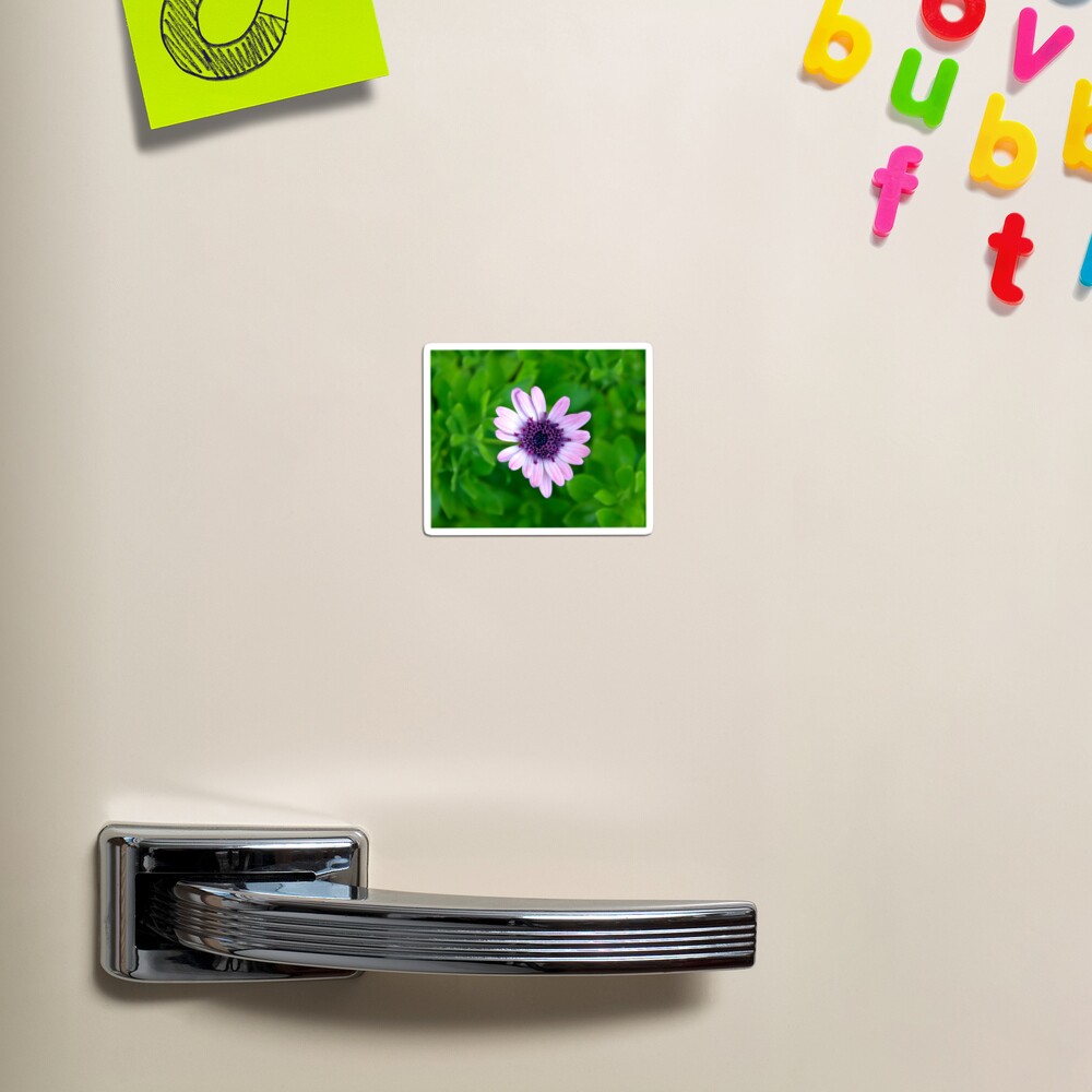 Item preview, Magnet designed and sold by heatherfriedman.
