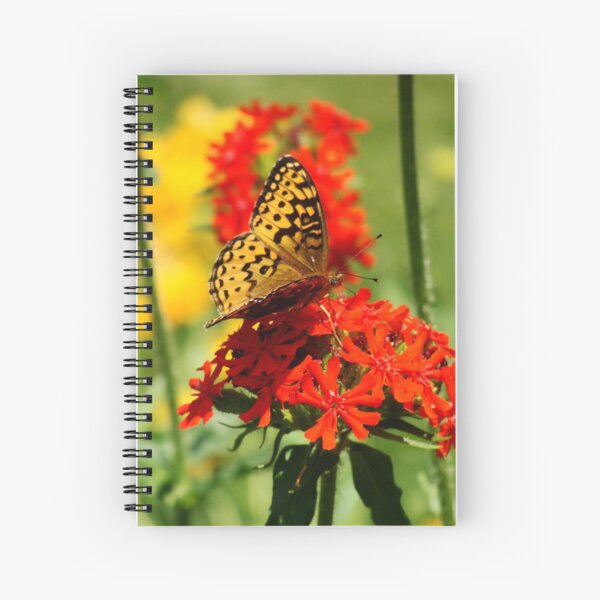 Gold Winged Butterfly on an Orange Flower Spiral Notebook