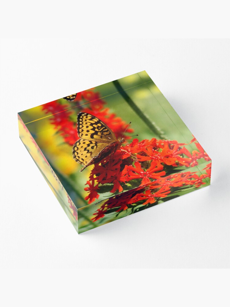 Alternate view of Gold Winged Butterfly on an Orange Flower Acrylic Block