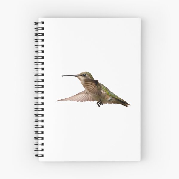 Item preview, Female ruby throated hummingbird in flight designed and sold by Polky Art.