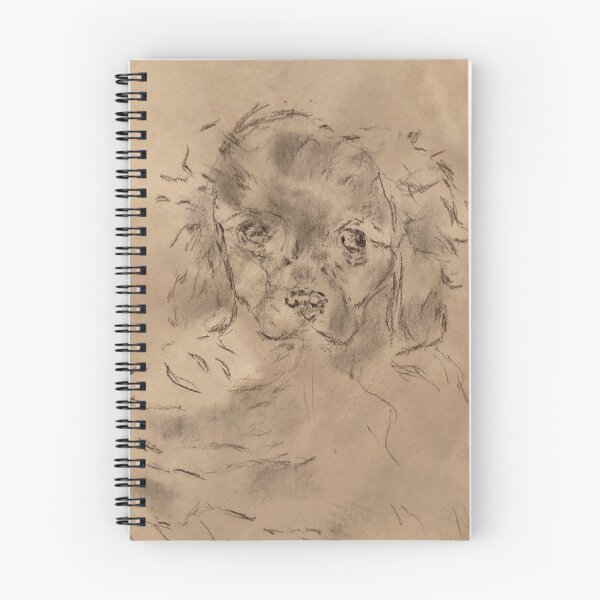 Item preview, Cavalier puppy in charcoal on newsprint designed and sold by ElenaCarin97.