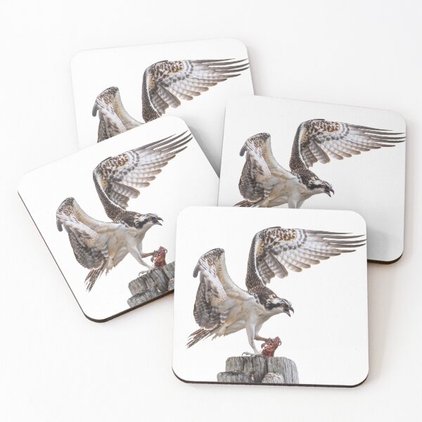 Item preview, Osprey with Prey – Master of the Hunt designed and sold by Polky Art.