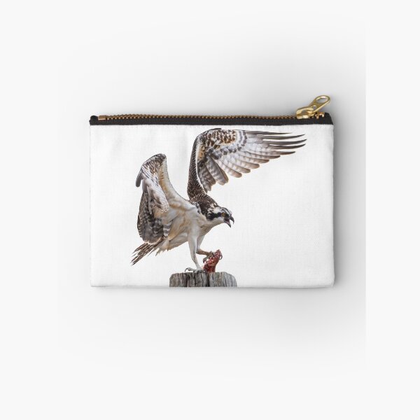 Item preview, Osprey with Prey – Master of the Hunt designed and sold by Polky Art.