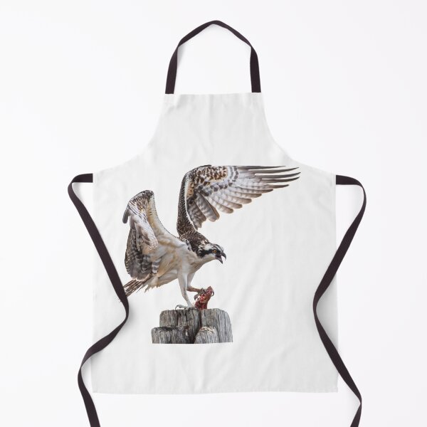 Item preview, Osprey with Prey – Master of the Hunt designed and sold by Polky Art.
