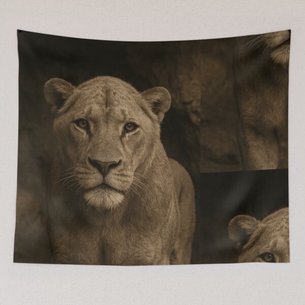 Item preview, The Sovereign's Stare in Shadow designed and sold by PrehistoryPulse.
