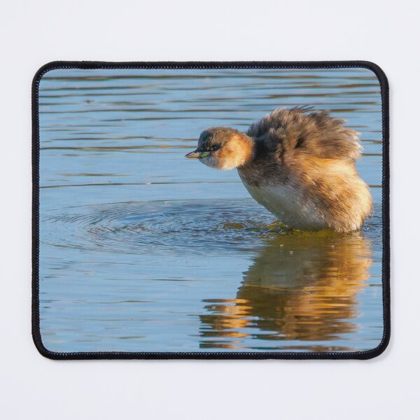 Item preview, Little Grebe  designed and sold by Ralph Goldsmith.