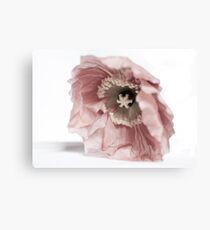 Crumpled Canvas Print
