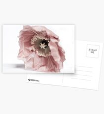 Crumpled Postcards