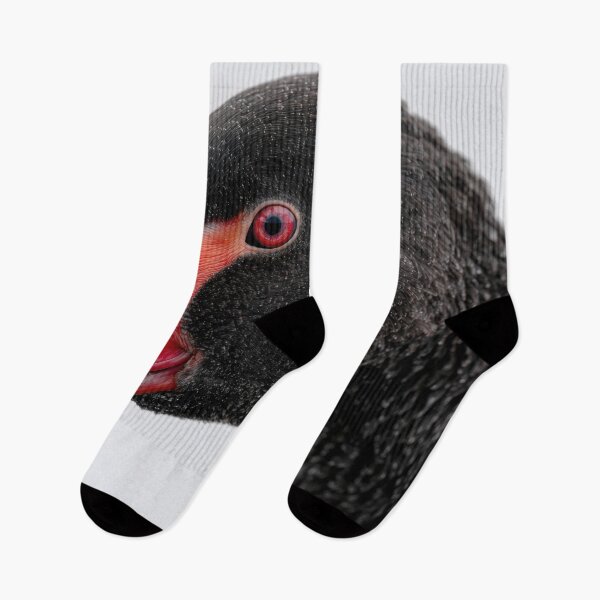 Item preview, Black swan with red beak and eye designed and sold by anytka.