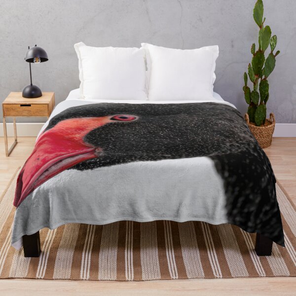 Item preview, Black swan with red beak and eye designed and sold by anytka.