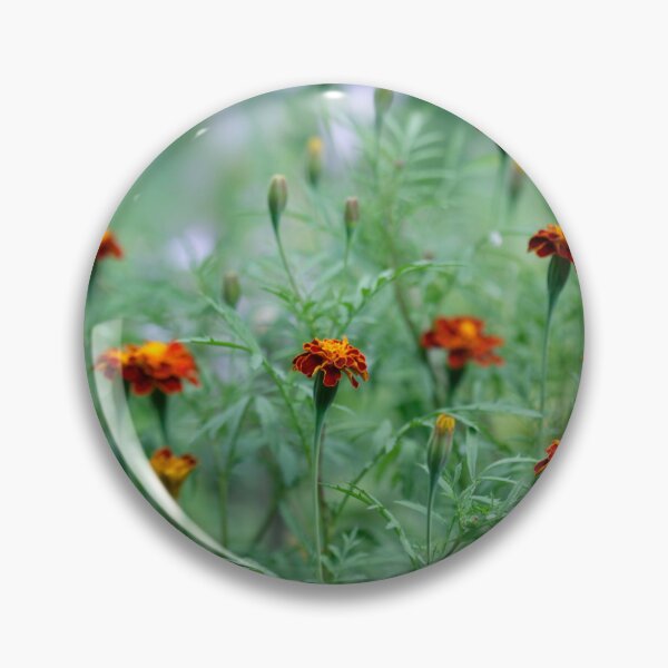 Item preview, Orange autumn flowers in the garden designed and sold by olena2552.