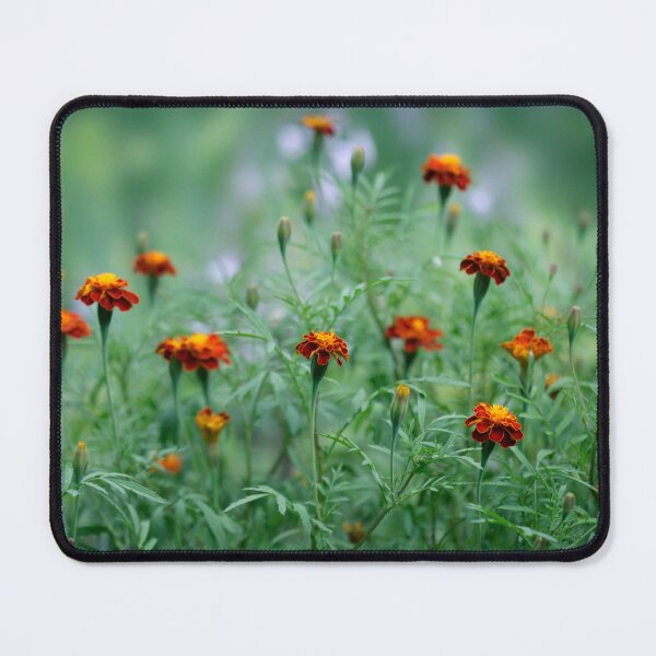Item preview, Orange autumn flowers in the garden designed and sold by olena2552.