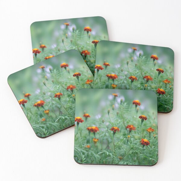 Item preview, Orange autumn flowers in the garden designed and sold by olena2552.