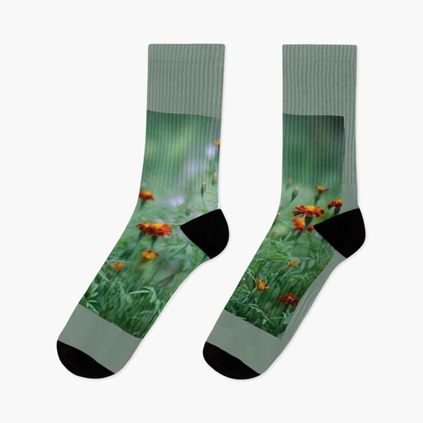 Item preview, Orange autumn flowers in the garden designed and sold by olena2552.
