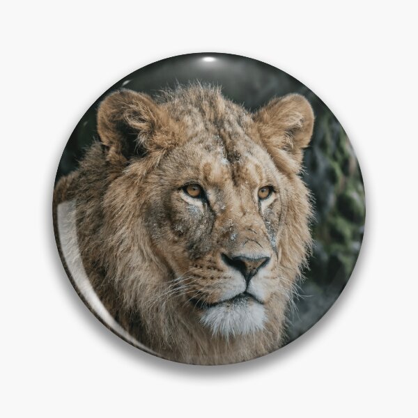 Item preview, Sovereign Gaze Emerging from the Shadowed Den designed and sold by PrehistoryPulse.