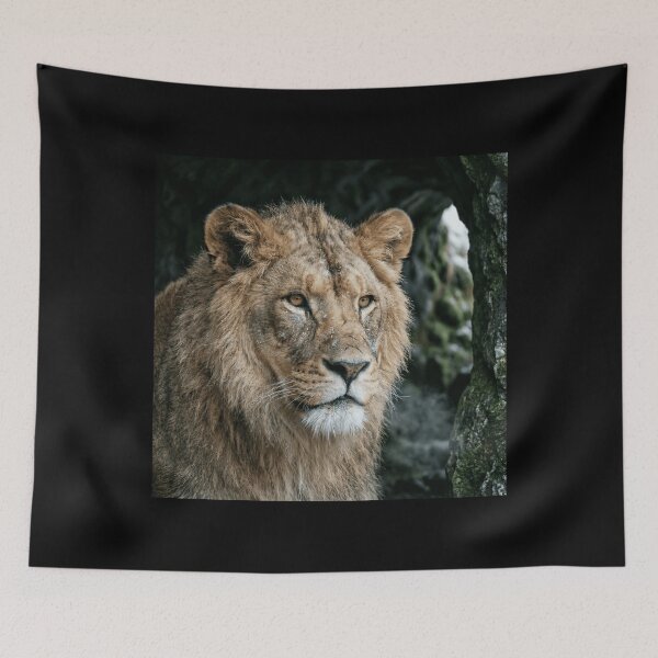 Item preview, Sovereign Gaze Emerging from the Shadowed Den designed and sold by PrehistoryPulse.