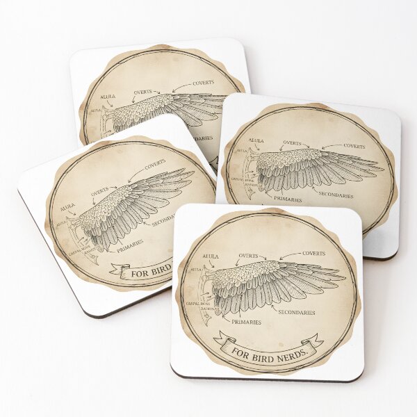 Item preview, Bird Wing Anatomy Diagram - Educational Ornithology Illustration Sticker | Labeled Primary & Secondary Feathers designed and sold by NatureNookTees.