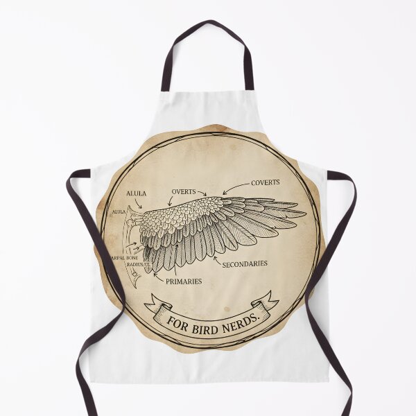 Item preview, Bird Wing Anatomy Diagram - Educational Ornithology Illustration Sticker | Labeled Primary & Secondary Feathers designed and sold by NatureNookTees.