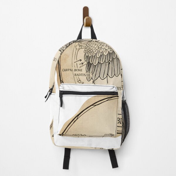 Item preview, Bird Wing Anatomy Diagram - Educational Ornithology Illustration Sticker | Labeled Primary & Secondary Feathers designed and sold by NatureNookTees.
