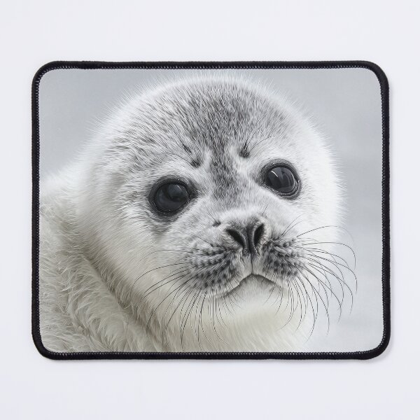 Item preview, Seal puppy designed and sold by ArtfulPlay.