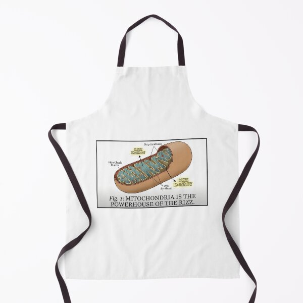 Item preview, Mitochondria Is The Powerhouse Of The Rizz designed and sold by MogLabs.