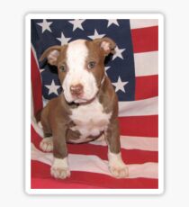 I'M ALL AMERICAN Sticker