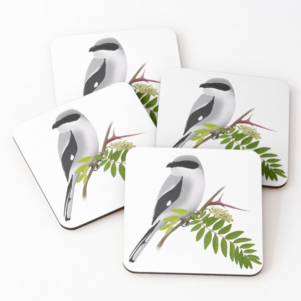 Item preview, Loggerhead Shrike on Honey Locust designed and sold by Joe Hernandez.