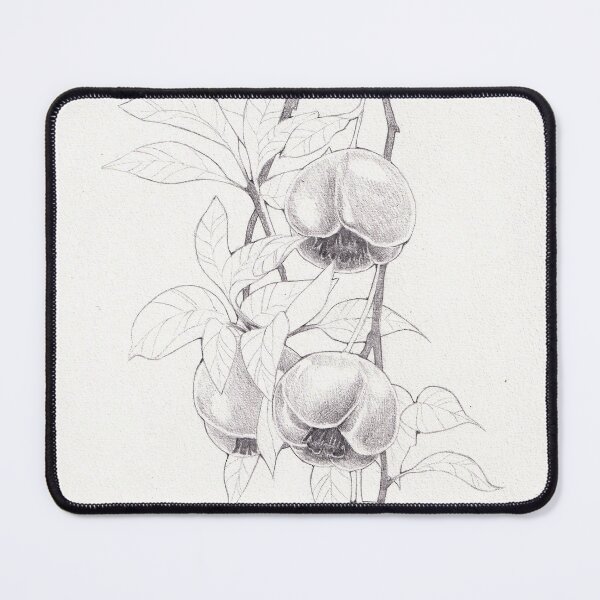 Item preview, Fruit Pencil Illustration designed and sold by sokoartz.