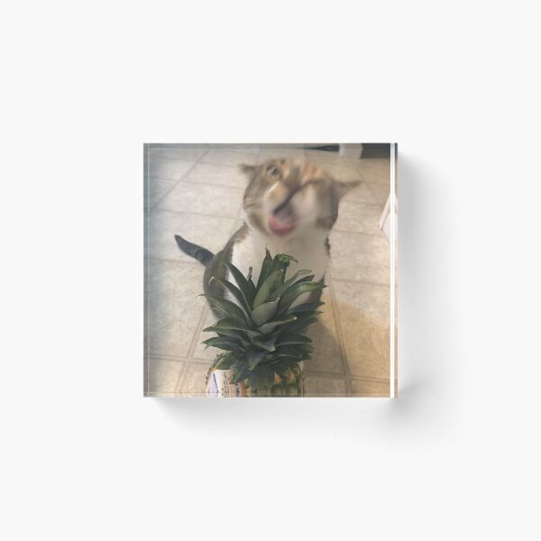Item preview, Cat eats pineapple designed and sold by penguintempura.