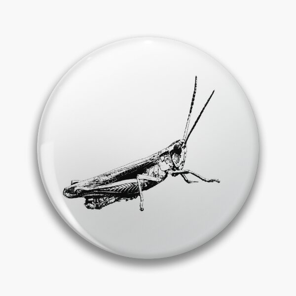 Item preview, Grasshopper graphic designed and sold by RalfkLang.
