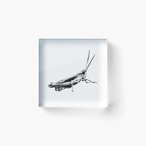 Item preview, Grasshopper graphic designed and sold by RalfkLang.